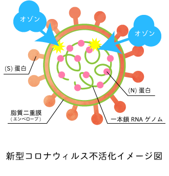 新型コロナウイルス不活化イメージ図
